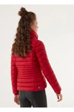 Colmar Gewatteerde Jassen Rood High Neck Recycled Fabric Down Jacket Red -Exporteren Colmar winkel 0a4dcd04daebc7cad9bee4a2249847a4