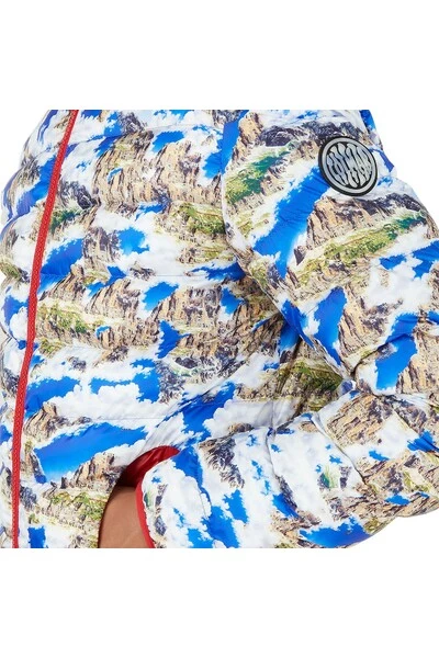 Colmar Gewatteerde Jassen Blauw Landscape Print Padded Jacket Blue 4 Colmar Gewatteerde Jassen Blauw Landscape Print Padded Jacket Blue - Afbeelding 4