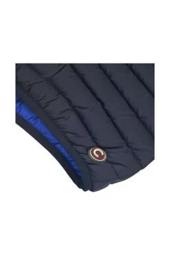 Colmar Winterjassen Blauw Down Jacket With Hood Blue 8 Colmar Winterjassen Blauw Down Jacket With Hood Blue -Exporteren Colmar winkel 40022446d61eac659c07c003105f379a