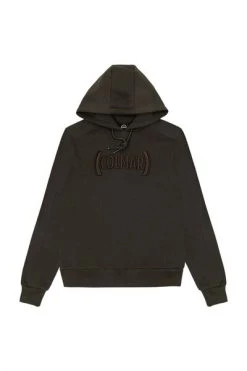 Colmar Hoodies & Sweatvesten Hoodies Brown