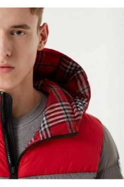 Colmar Winterjassen Gray Down Jacket Gray 8 Colmar Winterjassen Gray Down Jacket Gray -Exporteren Colmar winkel 67bbe24b0d1b1640110d0a80c3016278