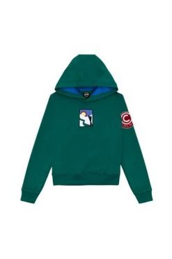 Colmar Sweaters Green Hoodie With Logo Vintage Green