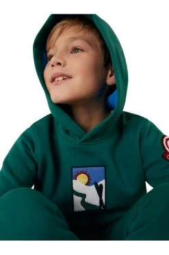 Colmar Sweaters Green Hoodie With Logo Vintage Green -Exporteren Colmar winkel ef262fe487b5055c23f9421be1cd76a1