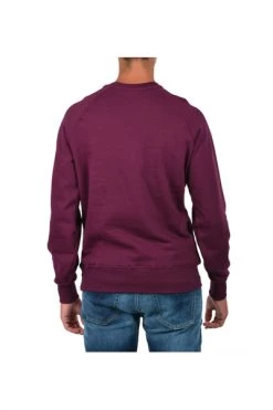 Colmar Hoodies & Sweatvesten Purple Sweater Purple -Exporteren Colmar winkel ff58e8dece0901e1143a3a83755611e8
